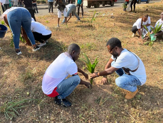 Mobirise Website Builder