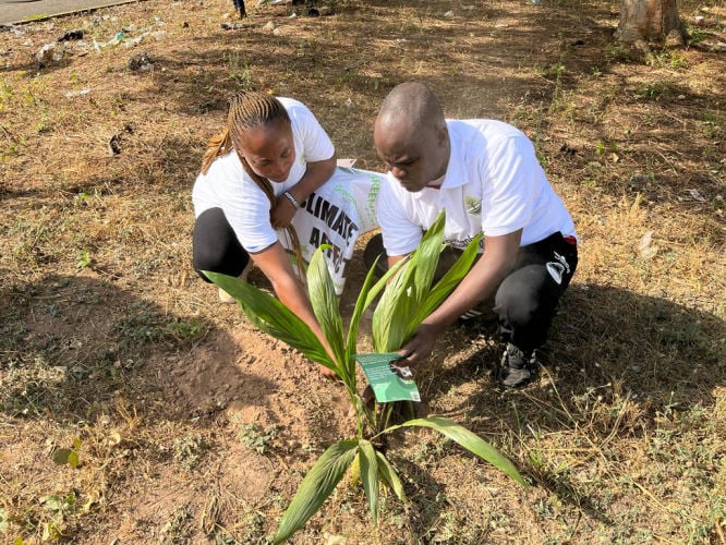 Mobirise Website Builder