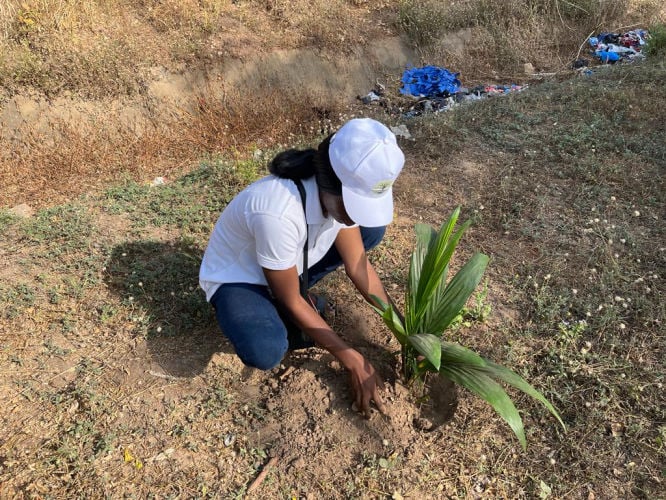 Mobirise Website Builder